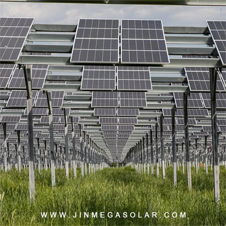 Producto destacado | Sistema de montaje solar para terrenos agrícolas JinMega I